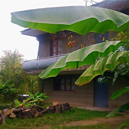 Farmer'S Guest House Телави Екстериор снимка
