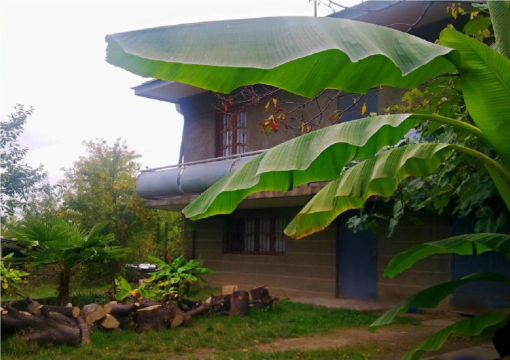 Farmer'S Guest House Телави Екстериор снимка